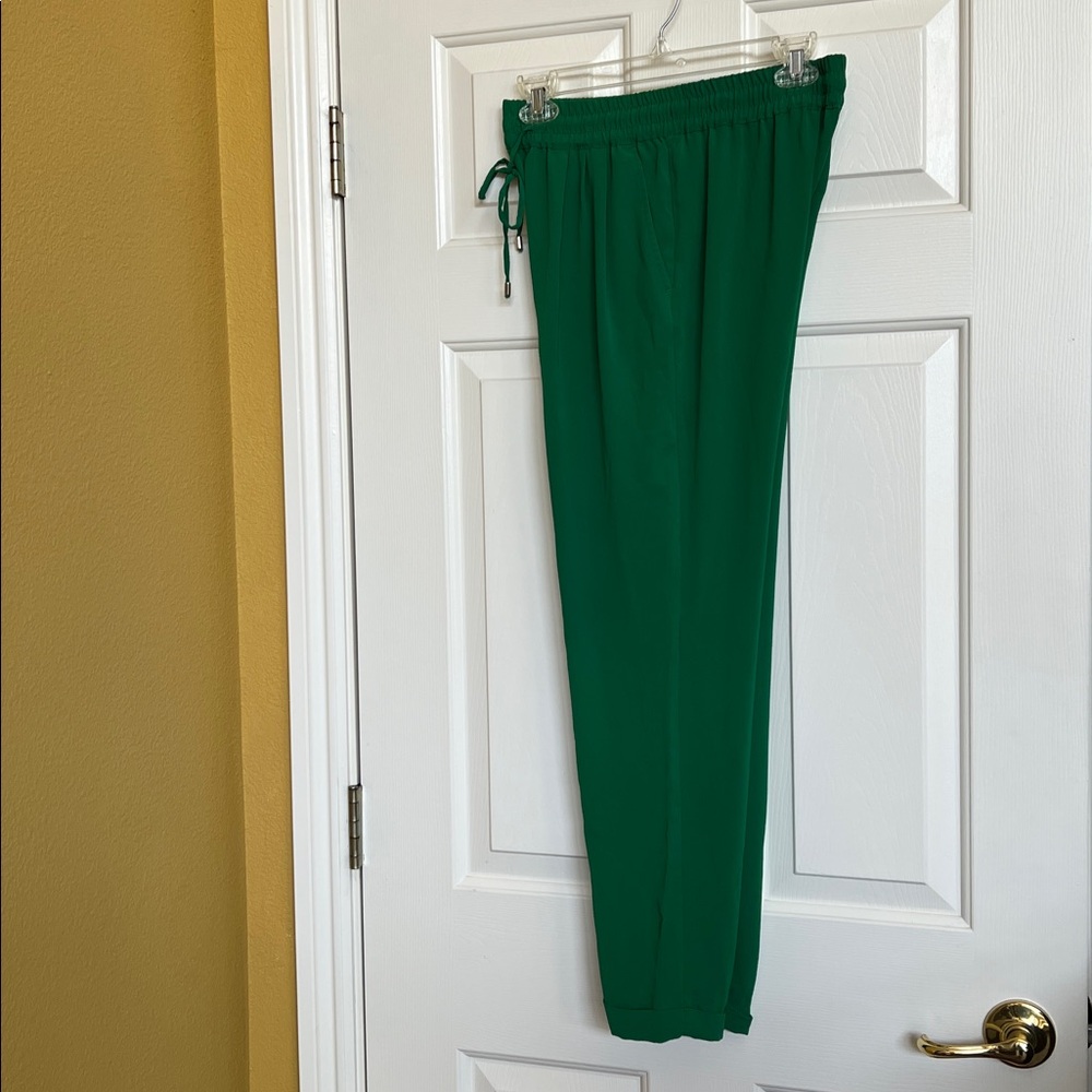Zara basic pants - Picture 10 of 12